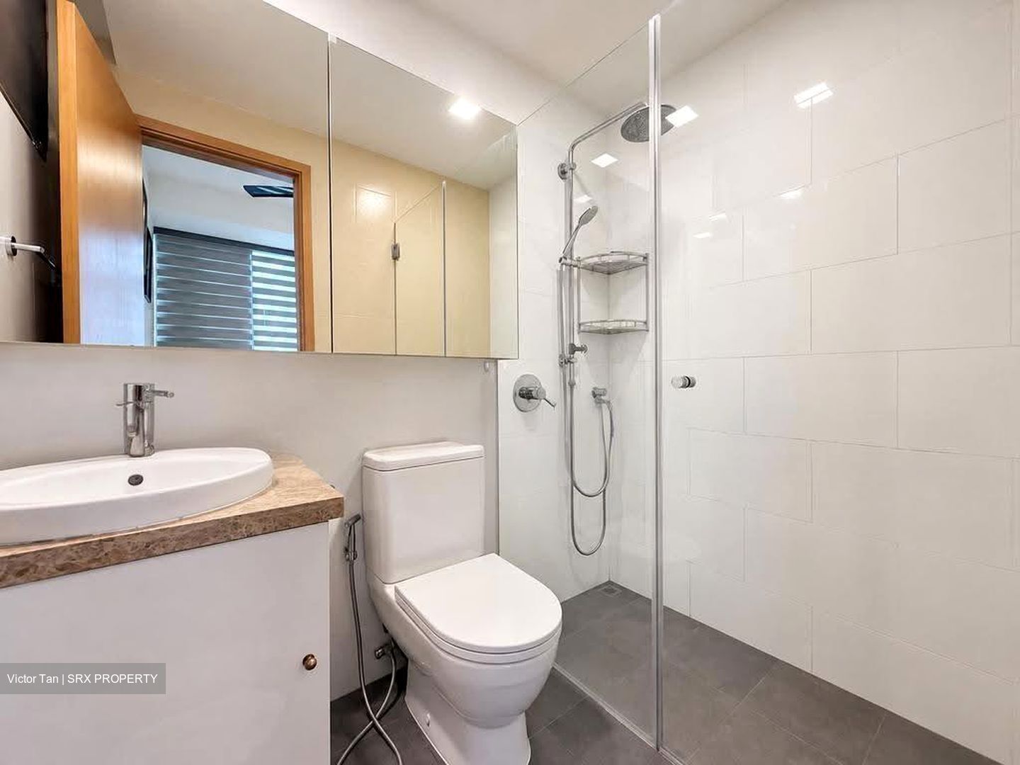 The Lincoln Residences (D11), Condominium #625552521